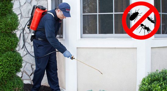 Eynesil Kene İlaçlama böcek ilaçlama ve haşere kontrolü — ilaclama-tr.com